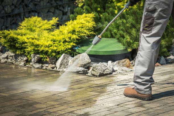 Best Pre-Holiday Cleaning  in Waldo, AR